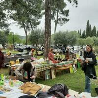 Vide Grenier des Vendanges