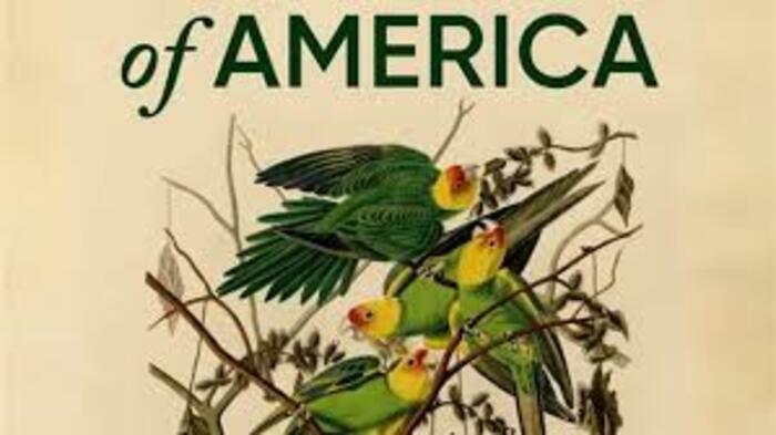 Birds of America de Jacques Loeuille (2022, 1h21) Le 5 avr 2025