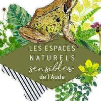 Ens-Au dessus de nos têtes, les arbres, sous nos pieds, l'histoire