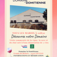 Visite du domaine La Domitienne